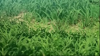 Portuguese Anime 